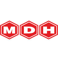 MDH Super Hing 10gm Carton 